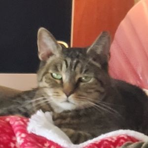 Meet your Posher, Rm